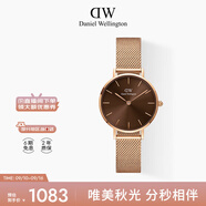 丹尼爾惠靈頓（DanielWellington）DW手女表 全新配色鋼帶女士手表 時(shí)尚歐美表七夕禮物DW00100476