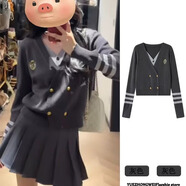 熒蒂學(xué)院風(fēng)時(shí)尚套裝女秋季新款穿搭一整套假兩件針織衫女百褶裙兩件套 毛衣【單件】 XL