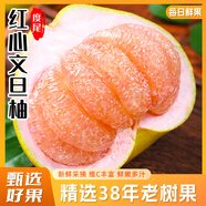 騎猴趕馬正宗度尾文旦柚福建紅心蜜柚應季新鮮水果禮盒過(guò)節送禮仙游文旦柚 【5斤網(wǎng)袋裝丨單果約1.3斤】精選裝 金獎品質(zhì)度尾文旦柚