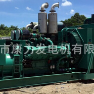 Cummins又到年底了 發(fā)電機(jī)年度保養(yǎng)報(bào)價(jià)方案 柴油發(fā)電機(jī)組維保檢修 KTA38-G9