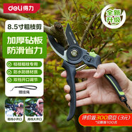 得力（deli）修枝剪刀樹(shù)枝剪 防滑砧板果樹(shù)剪花枝剪盆栽花卉園林園藝修枝神器
