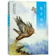 椋鳩十經(jīng)典世界動物小說 愛藏本3：生于天空