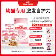 皇家貓糧?幼貓貓糧?干濕搭配?K36 4.5kg+啫喱肉凍KJP 85G*3