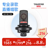 得勝（TAKSTAR） SM-18( 二代）麥克風(fēng)專業(yè)錄音棚定制電臺(tái)話筒唱歌聲卡手機(jī)電腦通用快手全民k歌話筒 官方標(biāo)配   -