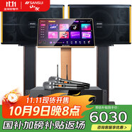 山水（SANSUI）PK10系列專業(yè)大功率ktv卡拉OK音響會(huì)議套裝功放家用家庭點(diǎn)歌機(jī)唱K全套一體機(jī)商用會(huì)議舞臺(tái)酒店音箱 10吋10喇叭音箱+功放+話筒+20吋2TB點(diǎn)歌機(jī)