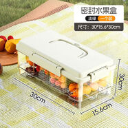 手提保鮮盒戶外露營便攜冰盒保鮮盒戶外野餐春游水果飲料食材保鮮 淡綠一個裝分格不串味密封