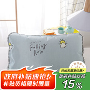 艾薇 冰絲枕套涼感席面單人枕芯套枕頭套兒童枕套一個(gè) 小清新 48*74cm