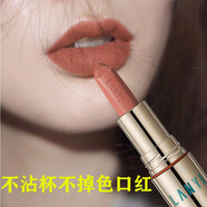 LANYI氣質(zhì)姨媽色口紅啞光霧面顯白歐美復古紅暗黑色系口紅不掉色滋潤 701#肉桂奶茶 【熱賣(mài)自然色】