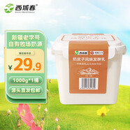 西域春新疆奶皮子酸奶 1000g*1桶 生牛乳發(fā)酵 酸牛奶 源頭直發(fā)包郵