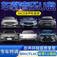 途祥TYPEC雙口128G寶馬DTS51六聲道車載U盤 特斯拉系列(Model Y/S/3/X) 128G(六聲道音源100MB單首)