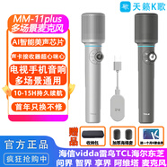 天籟K歌MM-8無線麥克風(fēng)家用電視k歌話筒適用海信東芝tcl東芝雷鳥vidda卡薩帝海爾問界阿維塔車載麥克風(fēng) 25年新品【聲卡接收器】9檔音效調(diào)節(jié)至尊款