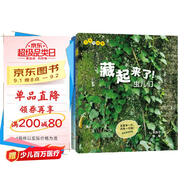 生命的故事 藏起來了（2冊）2-3-6歲高清實拍動物自然昆蟲百科全書 幼兒園趣味互動書 兒童動物世界游戲書 