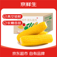 京鮮生東北黃糯玉米棒200g×8根 甜黏玉米 多種包裝隨機(jī)發(fā)貨 源頭直發(fā)