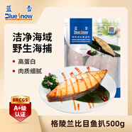 藍雪 冷凍格陵蘭比目魚(yú)扒 500g 5-8塊袋裝鰈魚(yú) 燒烤食材魚(yú)類(lèi)海鮮水產(chǎn)