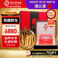 同仁堂品牌西藏野生冬蟲夏草約3根/g12g約36根蟲草禮盒高檔 七夕情人節(jié)