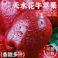 粵迎甘肅天水花牛蘋果紅蛇粉面蘋果平果水果送禮脆粉好吃蘋果香中秋 5斤精選果【可脆可粉】凈4.5斤