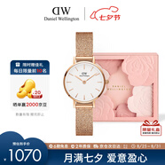 丹尼爾惠靈頓（DanielWellington）DW女士手表金邊鋼帶24mm簡(jiǎn)約歐美石英表七夕禮物DW00100447