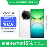 vivo Y300 國家補(bǔ)貼 新一代超級揚(yáng)聲器 6500mAh超薄藍(lán)海電池 超抗摔護(hù)眼直屏 拍照 AI 手機(jī) 瑞雪白 8GB+256GB 官方標(biāo)配