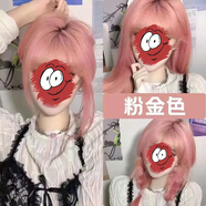 首品粉紫色染發(fā)劑2025流行色櫻花粉紅色杏粉色植物顯白染發(fā)膏純自己染 金粉色+褪色膏 【自然黑發(fā)選】