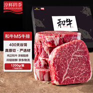 淳鮮四季X 京東PLUS會(huì)員聯(lián)名款 牛排原切和牛M5雪花牛排凈重2.4斤生鮮牛扒