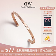 丹尼爾惠靈頓（DanielWellington）DW手鐲時尚閃耀星辰手鐲男生日禮物送男友DW00400528