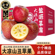 鯨咚億農鹽源冰糖心丑蘋(píng)果大涼山丑蘋(píng)果脆甜冰糖心蘋(píng)果新鮮水果年貨禮盒 9.5-10斤中果精選帶箱凈重8.6斤