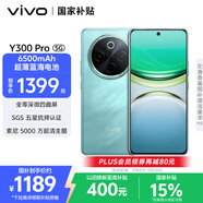 vivo Y300 Pro 8GB+256GB 金鑲玉 國家補貼 6500mAh超薄藍海電池 全等深微四曲屏 AI 拍照 手機