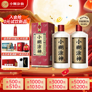 小糊涂仙（普神）濃香型白酒 52度 500ml*2 雙瓶裝(內(nèi)含禮品袋) 中秋送禮
