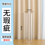 奇敬大號落地花瓶直筒透明玻璃花瓶龜背竹馬醉木大花瓶客廳餐廳插花瓶 【口徑17×高60cm】高硼硅玻璃 單花瓶（不含花）