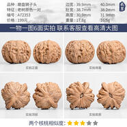 bhiodha文玩核桃蘋果園磨盤宮燈四座樓白獅子野生小眾南疆石核桃一物一圖A72353 老樹原色磨盤獅子頭40mm