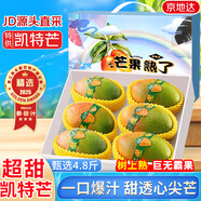 京地達四川攀枝花凱特芒大芒果凈重4.8斤單果700g水果禮盒源頭直發(fā)包郵