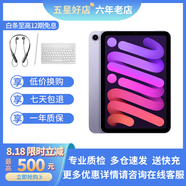 Apple蘋果 iPad mini6 mini5 mini4  迷你6 二手平板電腦 mini6 256G wifi 99新 送快充