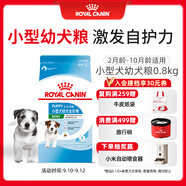 皇家狗糧 幼犬狗糧 幼犬奶糕寵物小型犬MIJ31全價(jià)犬糧2-10月800g
