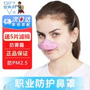 安爽利（ASL）鼻罩過敏性鼻炎專用口罩鼻用空氣過濾器抗防花粉睡覺眠豬鼻防塵口罩 頭戴式：公主粉