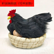 仿真母雞擺件假大公雞模型超市孵蛋小雞裝飾品下蛋老母雞 黑窩雞帶框倆蛋
