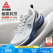 匹克態(tài)極千里2跑步鞋男寬楦減震透氣運動鞋穩(wěn)定支撐黑色慢跑鞋休閑鞋 【男款】淺灰/深蘭 42