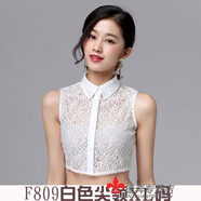 途尊（kingtrip）假領(lǐng)子女款蕾絲假圓領(lǐng)毛衣裝飾領(lǐng)假襯衫打底領(lǐng)秋子秋冬新款透氣 F809白色XL碼