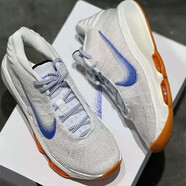 耐克（NIKE）男鞋 25秋季新款運動鞋時尚耐磨訓(xùn)練籃球鞋 HJ9084-100 44 (280mm)