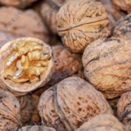 食懷新貨干核桃貴州畢節(jié)正宗本地核桃小米核桃薄皮核桃香原味 3斤特惠裝手工剝皮濕核桃
