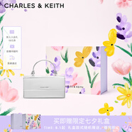 CHARLES&KEITH質(zhì)感拎手提鏈條斜挎單肩小方包包女包生日七夕禮物CK6-10840559-A Silver銀色 XS