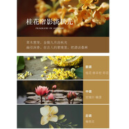 先鋒書(shū)店定制香水南京城里的夢(mèng)詩(shī)意生活持久留香小眾浪漫試香小樣 桂花簾影淡秋光 3ml