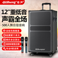 奇聲（QISHENG）廣場(chǎng)舞音響大功率三分頻重低音拉桿音箱 移動(dòng)戶(hù)外藍牙擴音器帶無(wú)線(xiàn)麥克風(fēng)低音音響重低音音響 黑色-12吋低音_11喇叭單元