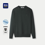 海瀾之家（HLA）針織衫男25新款圖案刺繡保暖圓領(lǐng)休閑毛衣男秋季 中綠56 XL 180/96A 推薦151~164斤