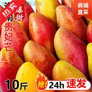 中秋送禮海南貴妃芒當季新鮮大果整箱 9斤 [精選裝]單果150-200g核小肉厚|