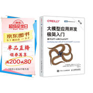 大模型應(yīng)用開(kāi)發(fā)極簡(jiǎn)入門 第2版 基于GPT-4和ChatGPT 人工智能深度機(jī)器學(xué)習(xí)  圖靈出品 2025新書