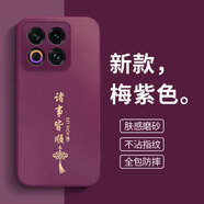 揚(yáng)聚特適用魅族22手機(jī)殼MEIZU22新款保護(hù)套M582Q硅膠軟邊磨砂防指紋5G全包防摔軟殼高級(jí)簡(jiǎn)約時(shí)尚外殼男女 梅紫色【諸事皆順】 魅族22