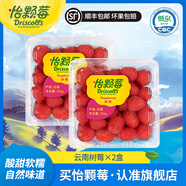 怡顆莓【顆顆飽滿(mǎn)】當季云南藍莓 國產(chǎn)藍莓 送禮 新鮮水果 年貨節送禮 云南樹(shù)莓 凈重125g*2盒
