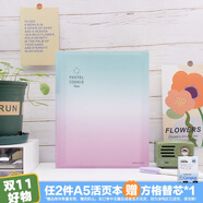 國譽(yù)(KOKUYO)淡彩曲奇·晴空·A5活頁本大容量筆記本子記事本附5張分隔頁 40張橫線內(nèi)頁 星海綠粉 WSG-RUVP12GP
