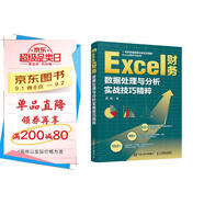 Excel財務(wù)數據處理與分析實(shí)戰技巧精粹（異步圖書(shū)出品）