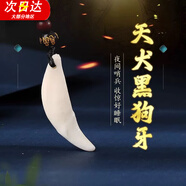 須橘黑狗牙吊墜男狼牙項(xiàng)鏈復(fù)古男女款寶寶靜心孕婦送女友孩子生日禮物 黑狗牙吊墜01Y006（掛繩隨機(jī)）